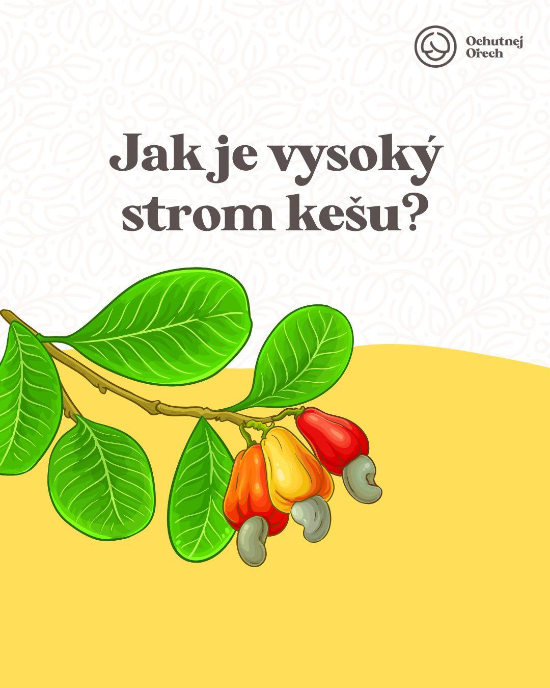 Příspěvek z Instagramu
