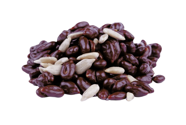 Semínka v čokoládě