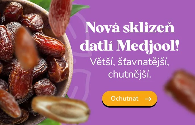 Nová sklizeň datlí Medjool!