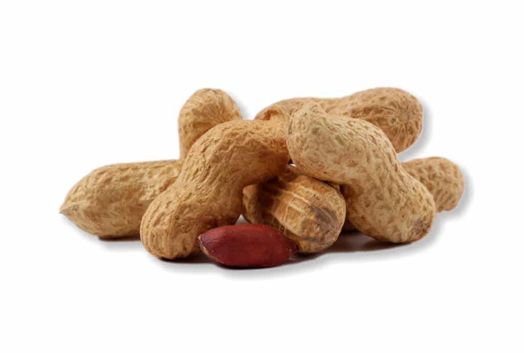 Buráky JUMBO neloupané pražené