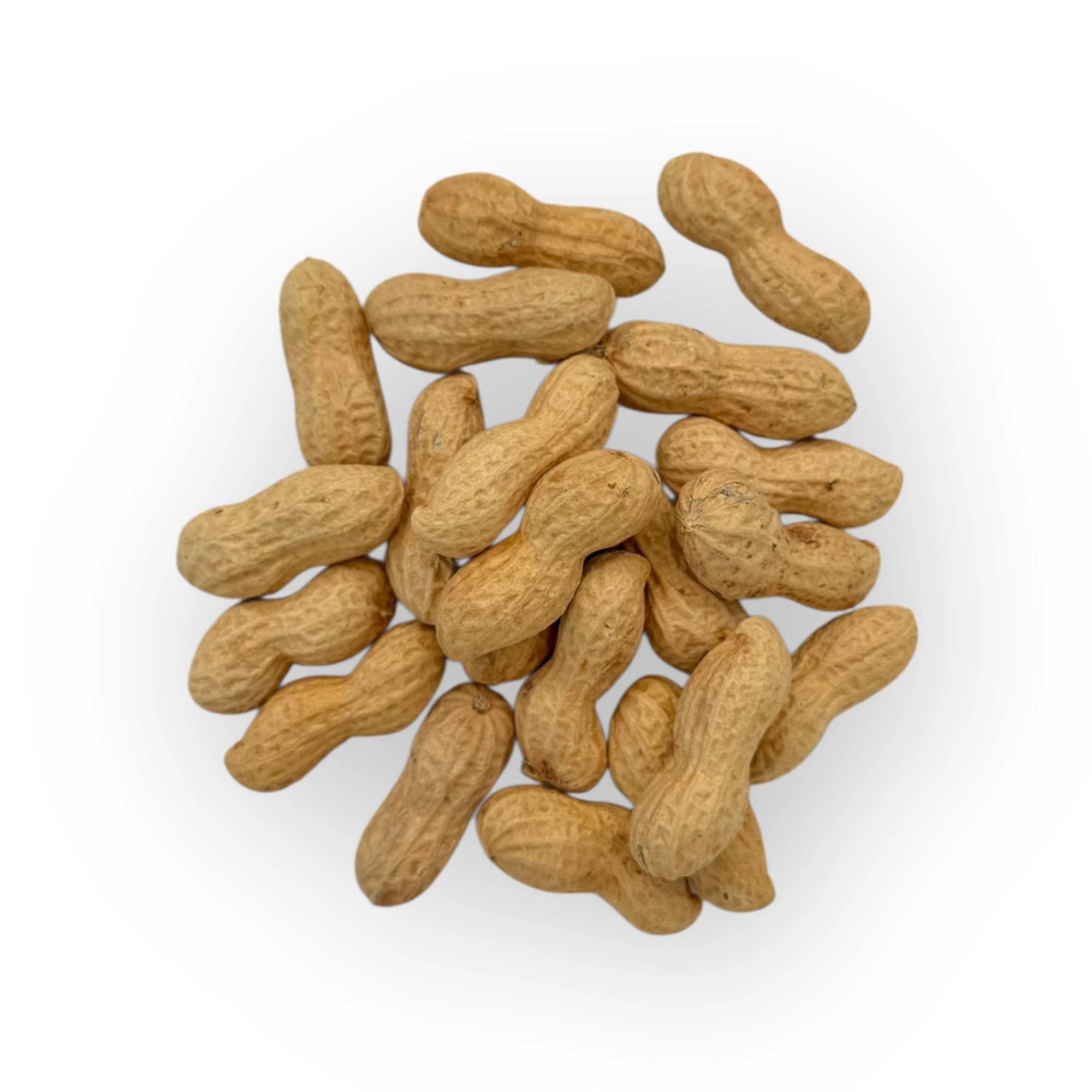 Buráky exclusive obří neloupané pražené