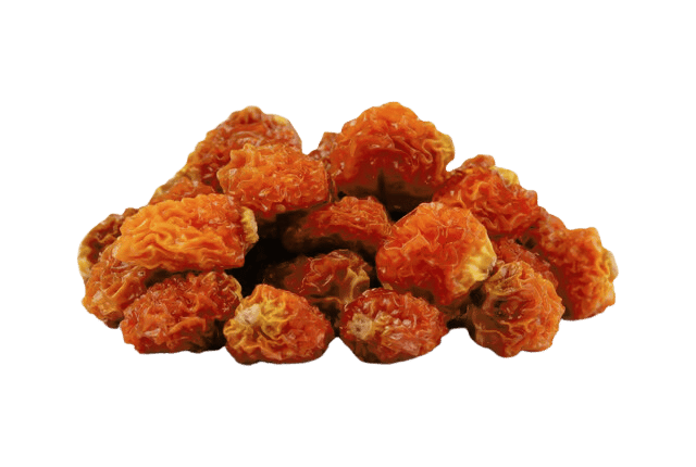 Mochyně peruánská physalis