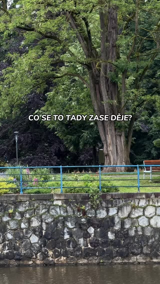 Příspěvek z Instagramu