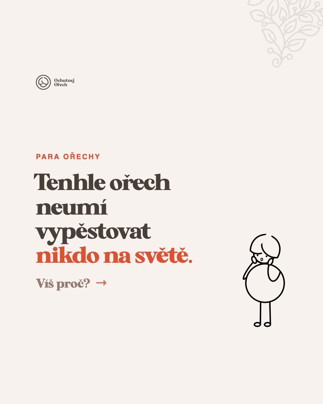 Příspěvek z Instagramu