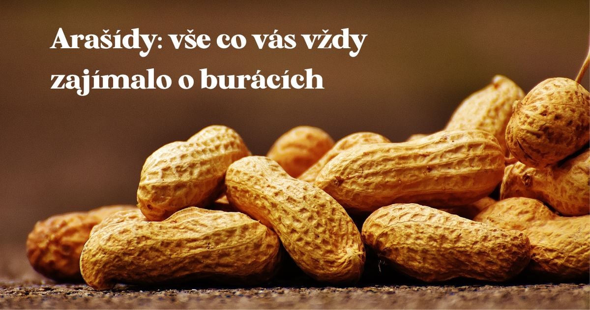 Arašídy – vše, co o nich potřebujete vědět | Ochutnej Ořech