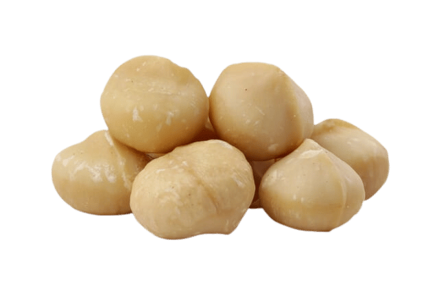 Makadamové ořechy