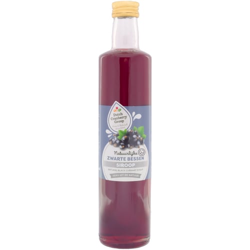 Levně Ochutnej Ořech Sirup černý rybíz 500 ml